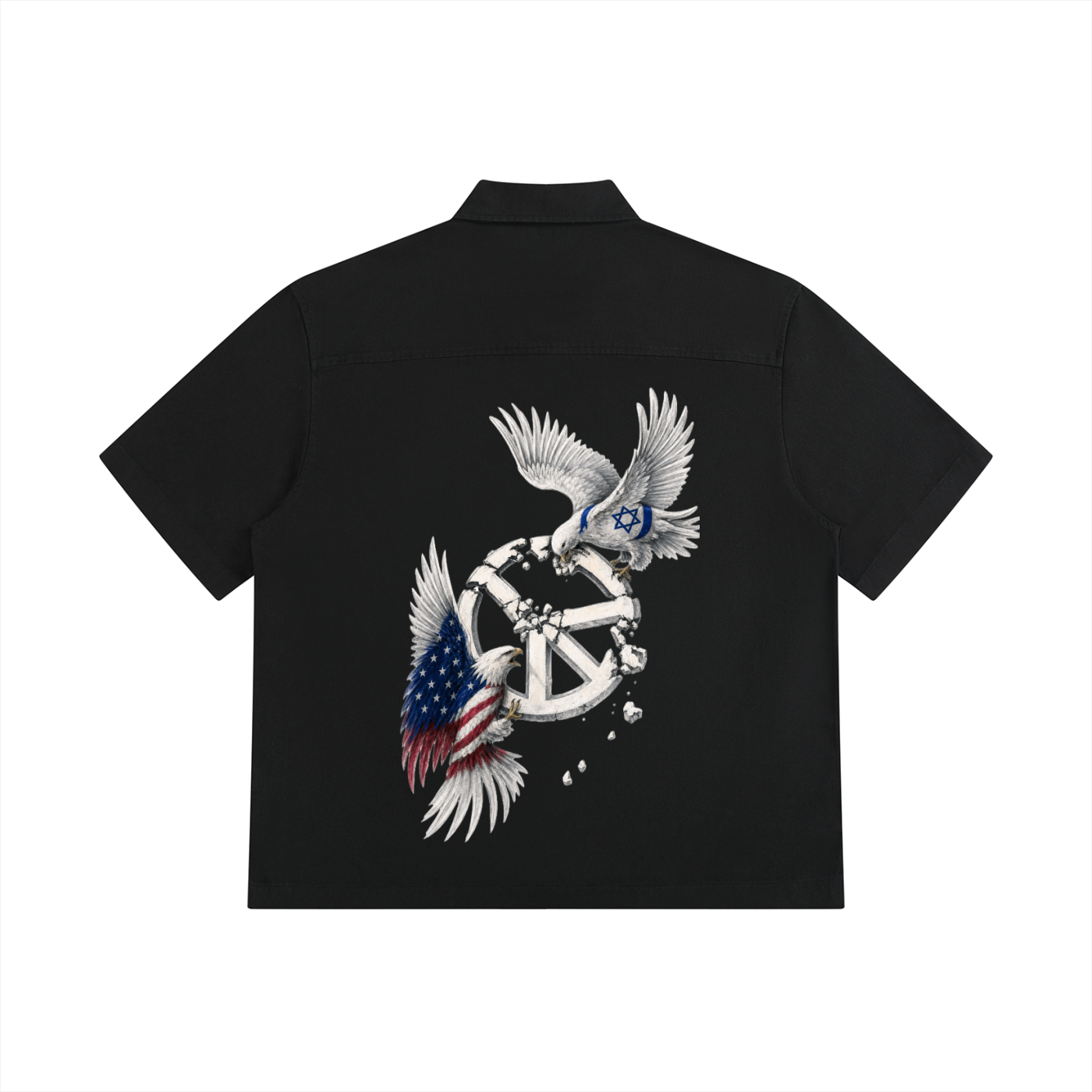 CHEMISE BOXY À MANCHES COURTES UNISEXE – PEACE IN RUINS